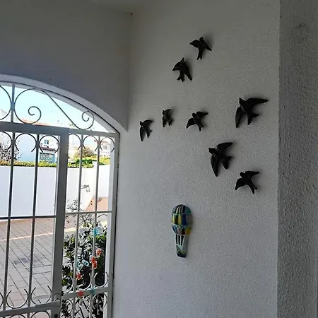 Luxurious In With Pool